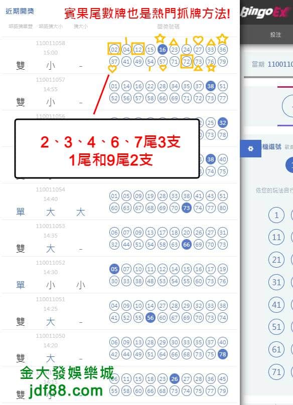 賓果賓果分析