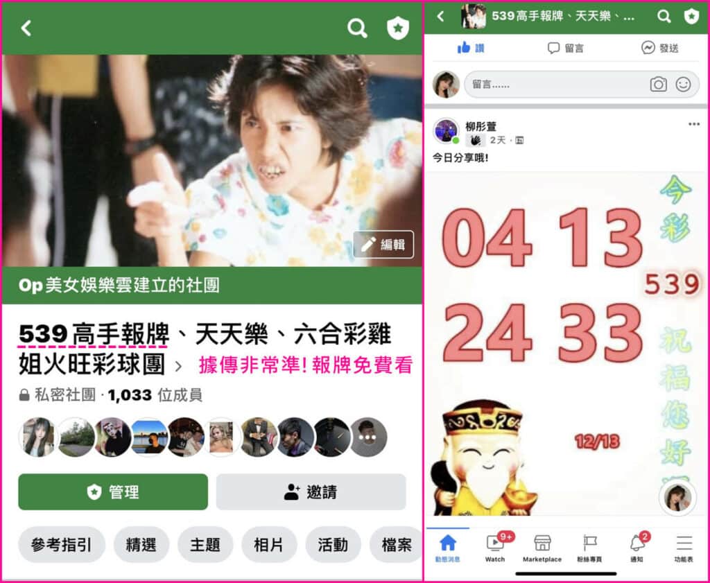 539高手報牌
