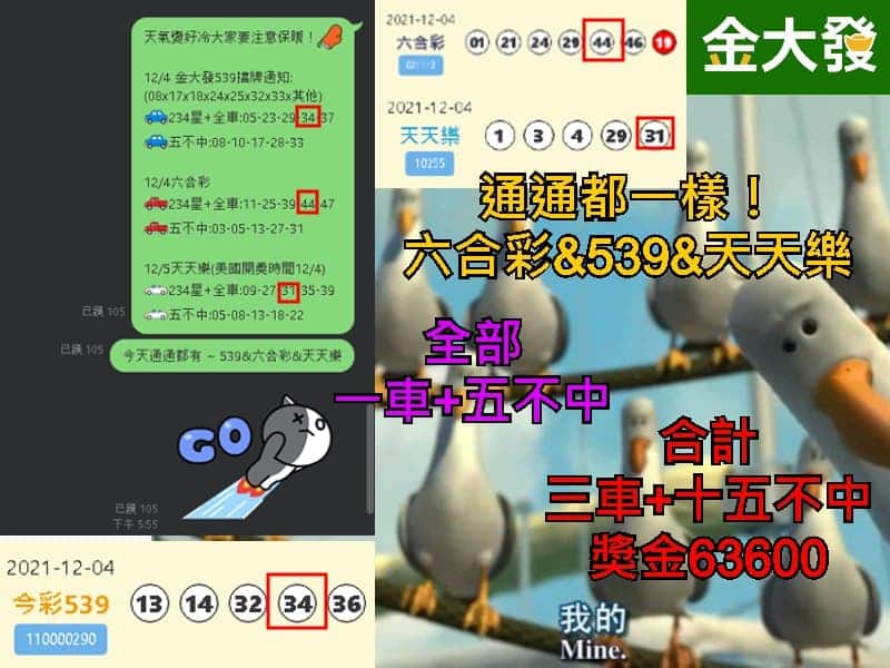 今彩539中獎號碼預測
